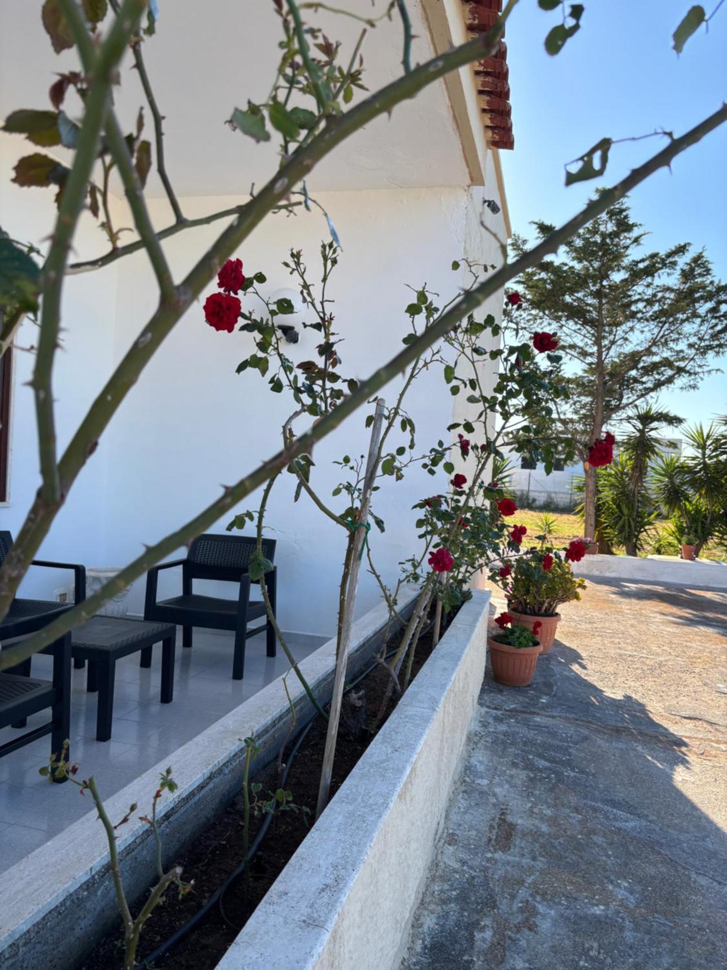 Lilly'S House Villa ตอร์เรซานตาซาบีนา ภายนอก รูปภาพ